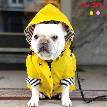 Waterproof Dog Coat