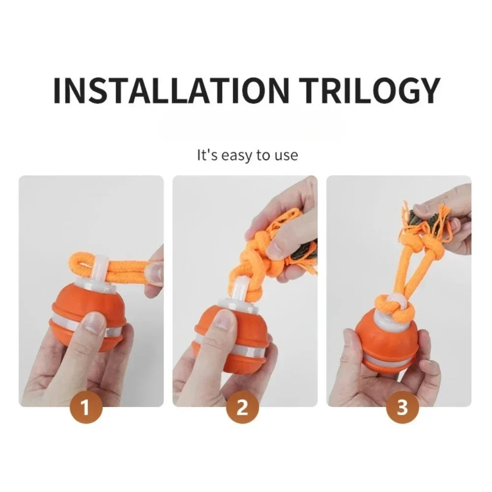 Interactive Dog Ball