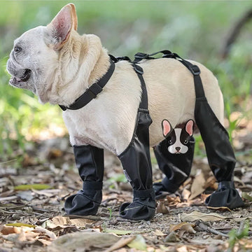 Anti-Slip Dog Shoes