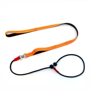 2-in-1 Dog Training Slip Lead