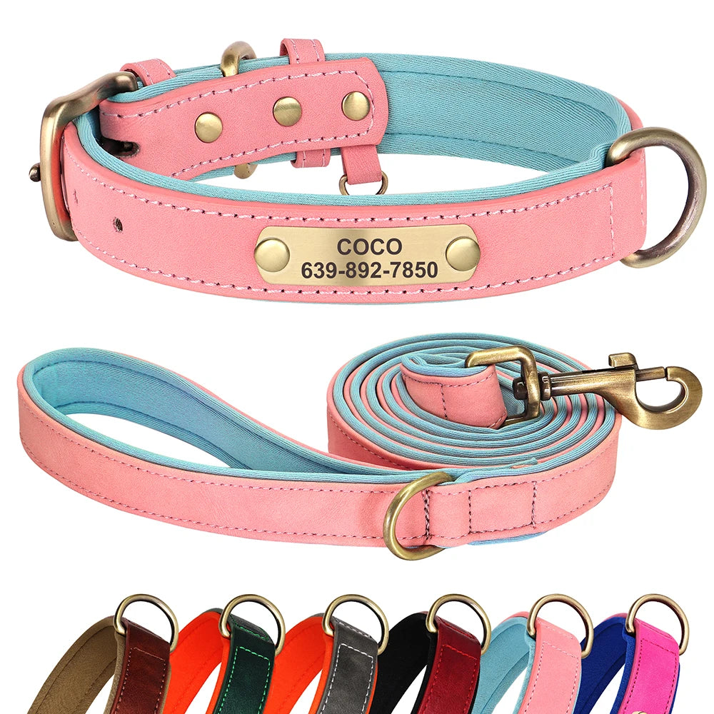 Personalized Dog ID Collar
