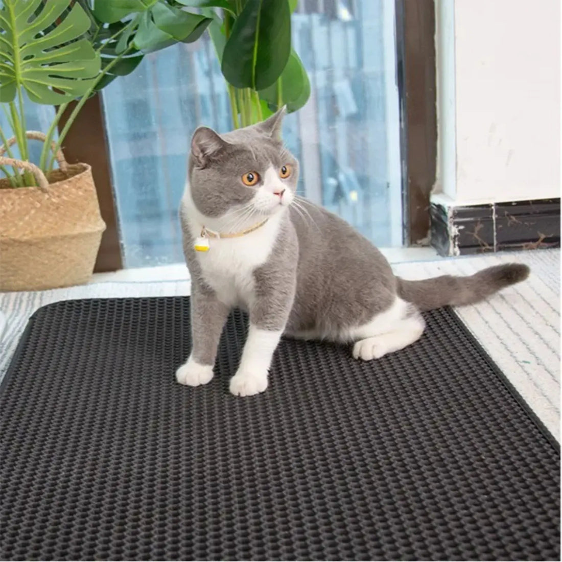 Cat Litter Mat