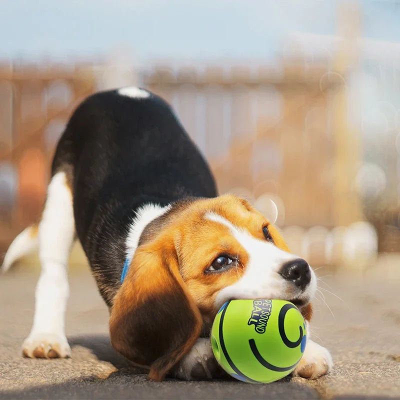 Giggle Glow Interactive Dog Ball