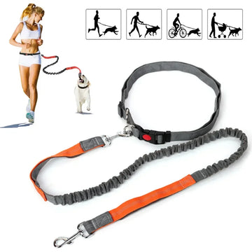 Hands-Free Retractable Dog Leash
