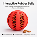 Interactive Toy Balls